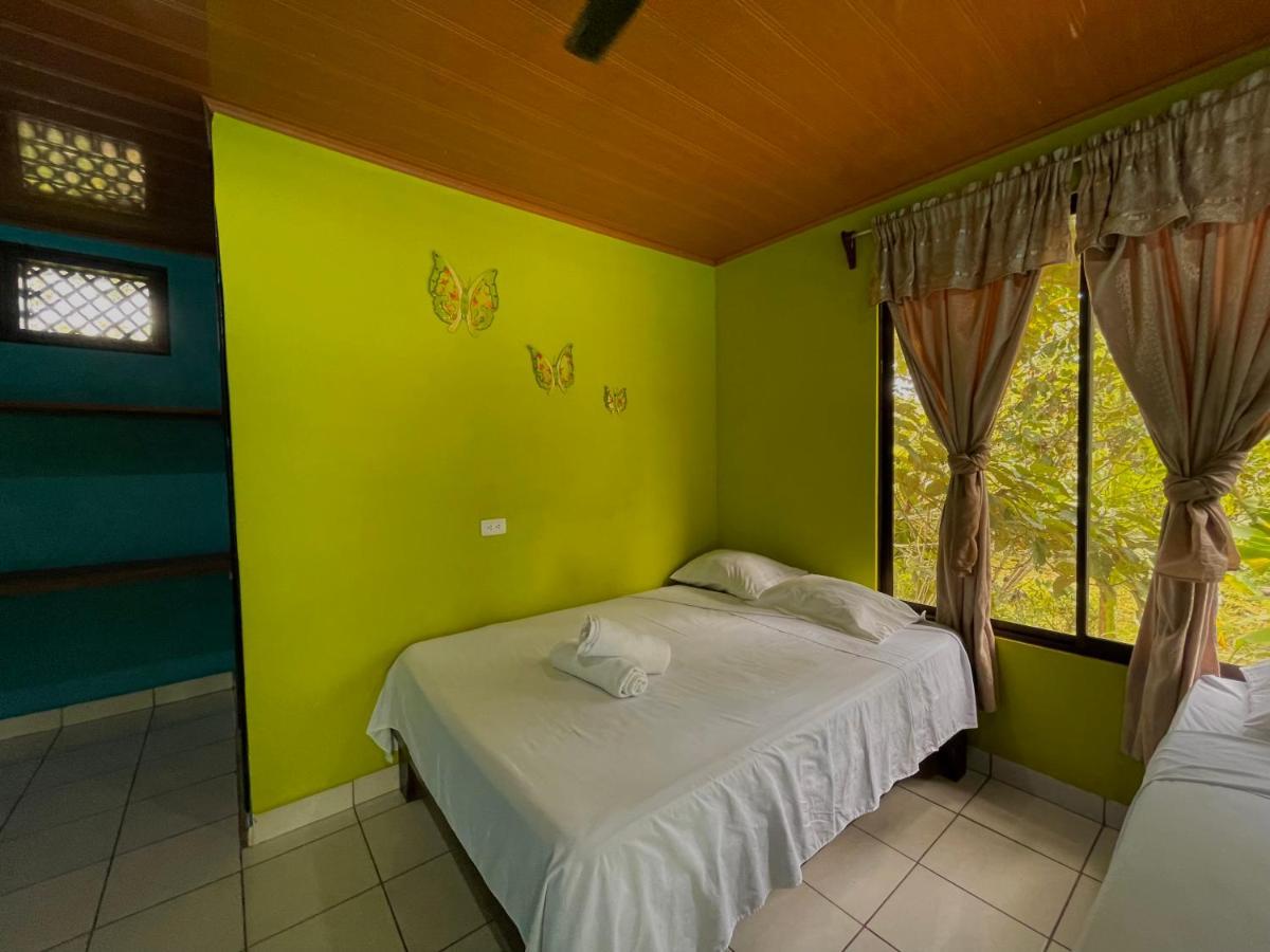 Los Amigos Jungle Hotel تورتوجويرو المظهر الخارجي الصورة