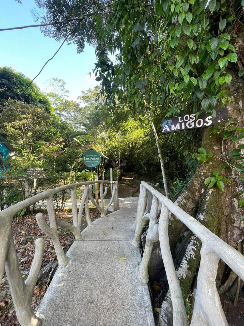 Los Amigos Jungle Hotel تورتوجويرو المظهر الخارجي الصورة